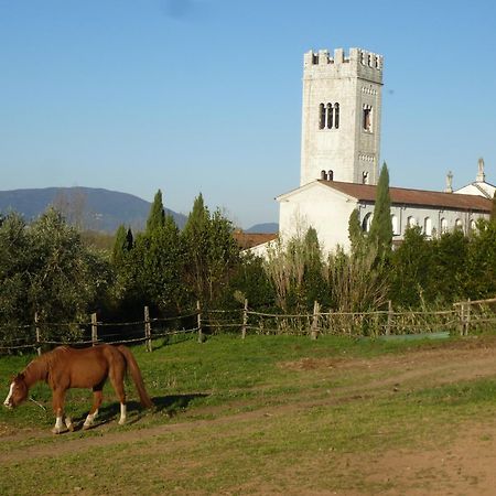 Casa Marce A "Sonno" Bed & Breakfast Porcari Eksteriør bilde