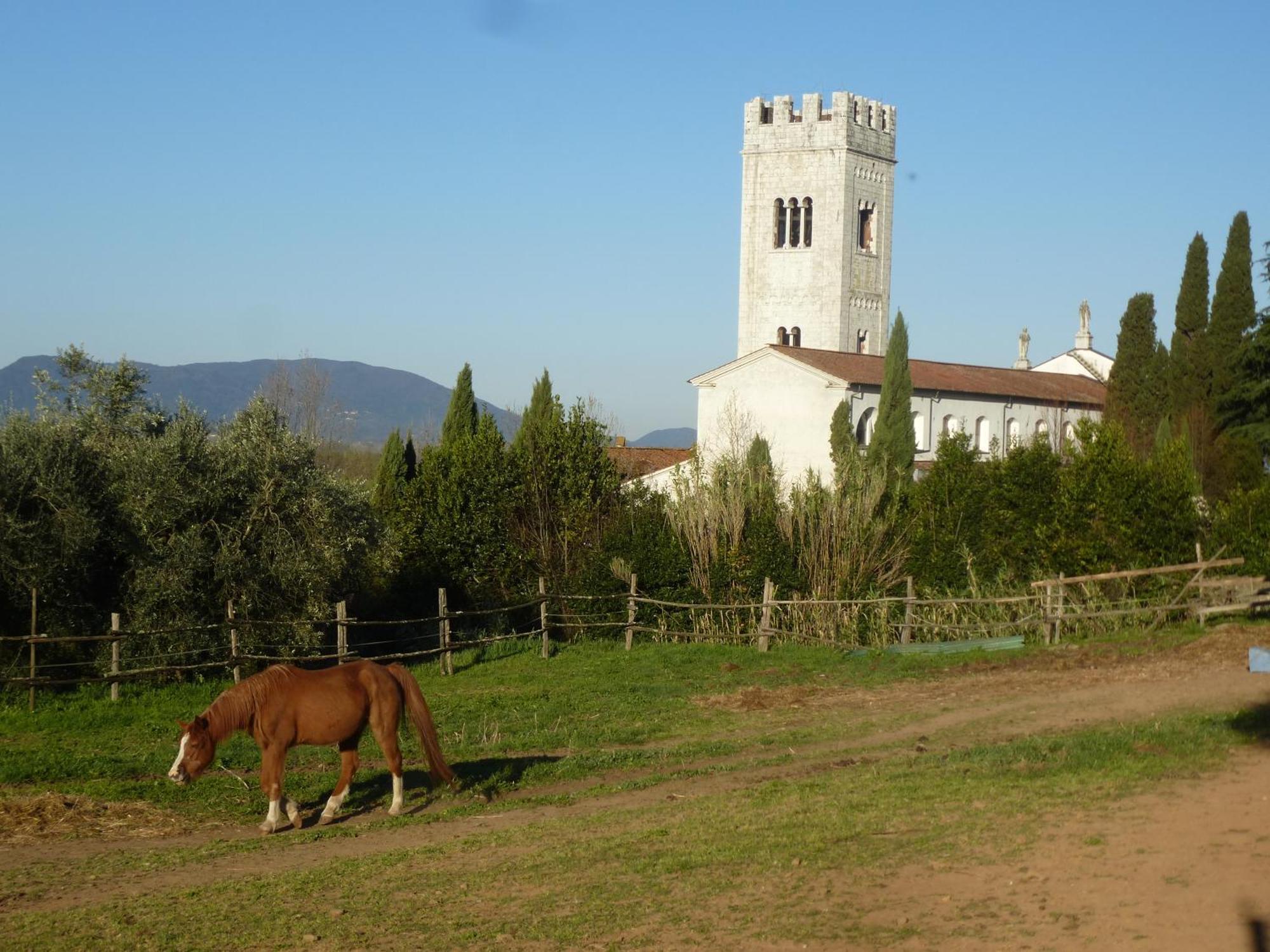 Casa Marce A "Sonno" Bed & Breakfast Porcari Eksteriør bilde